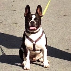 Meet your Posher, Craig